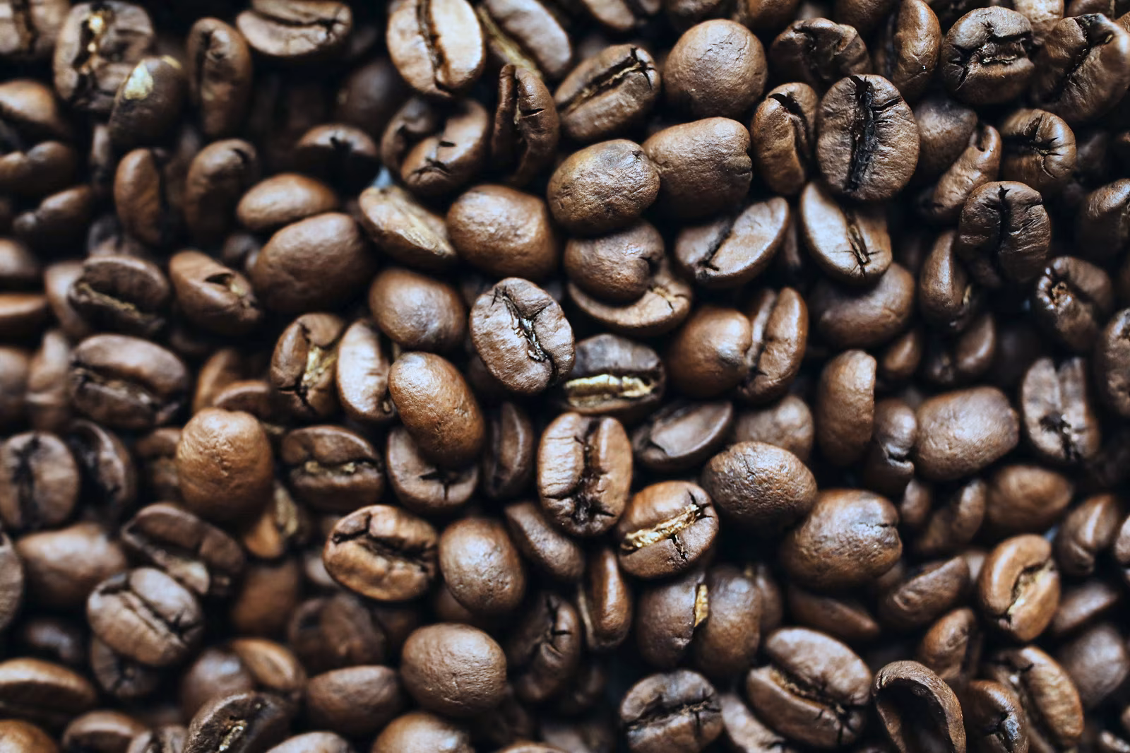 Dark-coloured coffee beans in close-up.