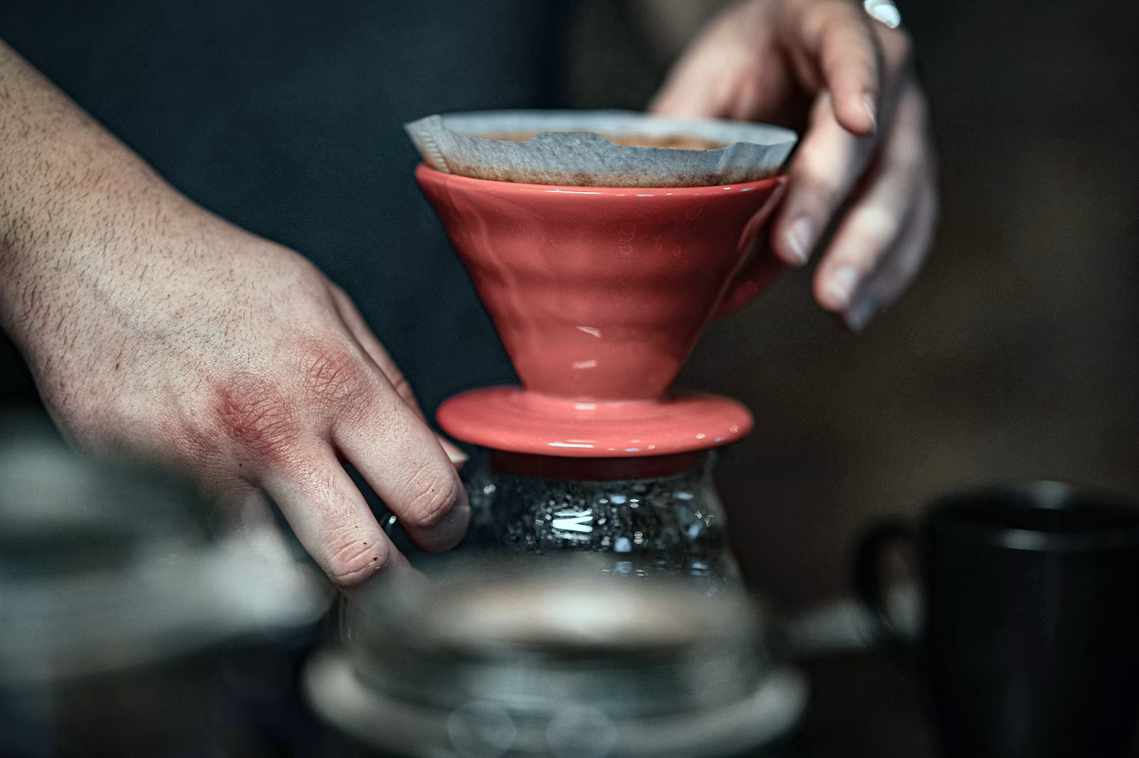 A coffee dripper being positioned over a glass server.